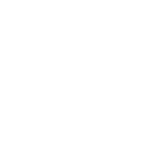 LOGO | Iraurgi Saski Baloia (Euskadi)